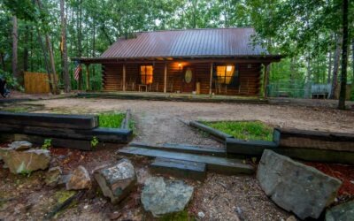 Mountain Bear Lodge