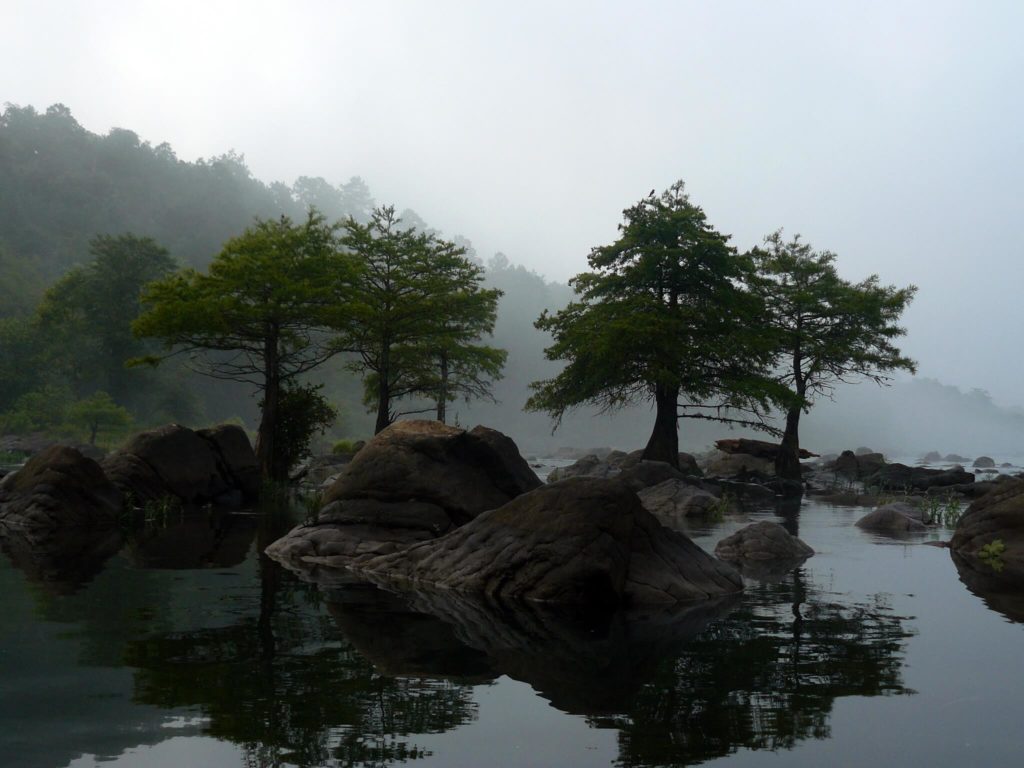 Beavers Bend State Park on a foggy morning